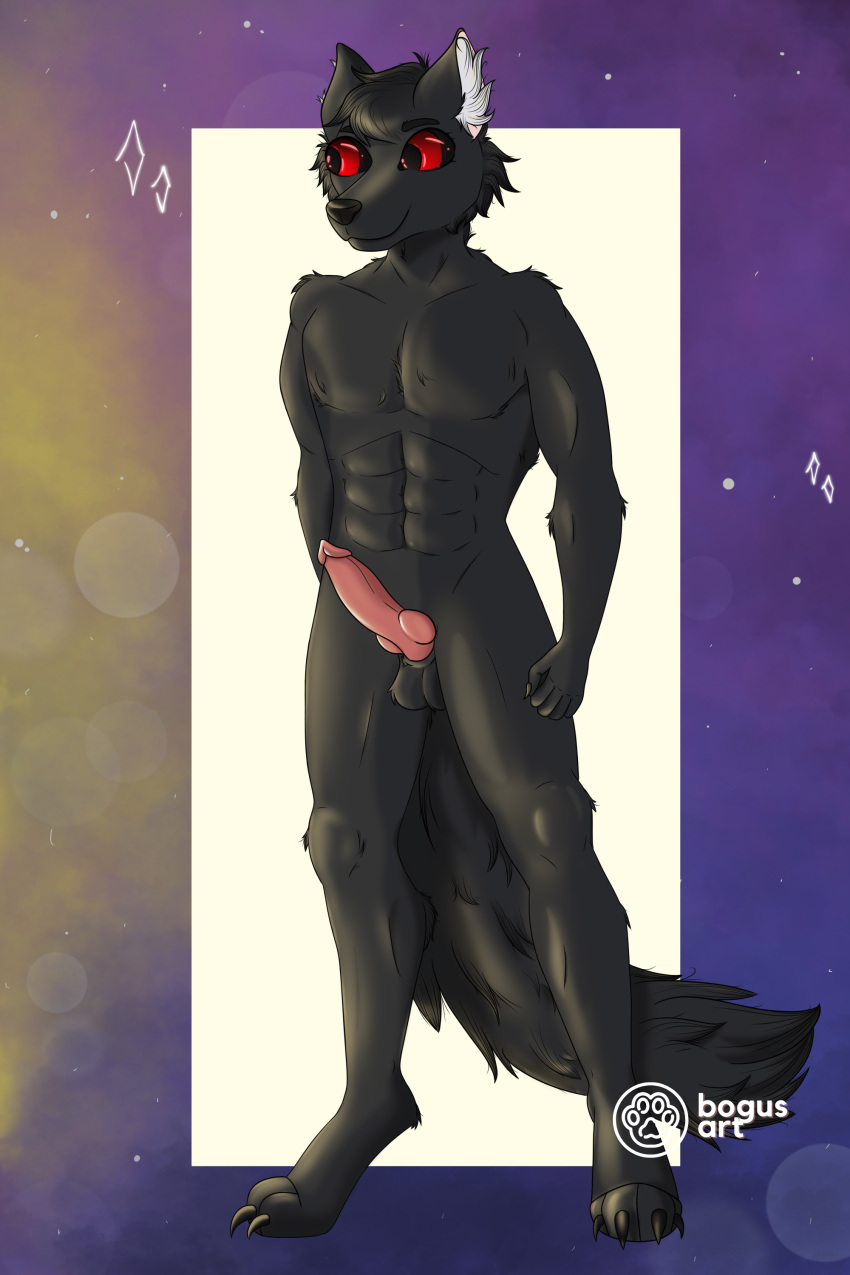 5_fingers abs absurd_res anatomically_correct anatomically_correct_genitalia anatomically_correct_penis animal_genitalia animal_penis anthro balls biceps big_balls black_body black_fur bogusart3 canid canine canine_penis canis colored digital_media_(artwork) domestic erection fingers fur genitals glistening glistening_eyes glistening_genitalia hair hi_res huge_balls humanoid_hands knot male mammal muscular muscular_anthro muscular_male navel nude pecs penis shaded slim solo solo_focus wolf