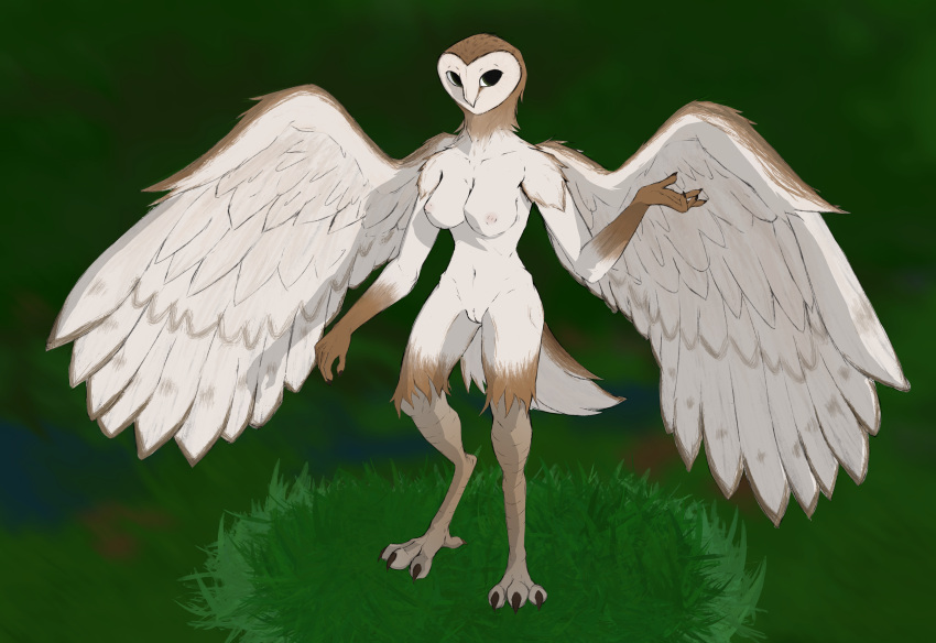 absurd_res anthro avian barn_owl beak bird bird_feet breasts claws feathered_wings feathers female fur genitals grass hi_res masked_owl nude owl plant pokelov pussy shaded solo tail_feathers tytonid wings