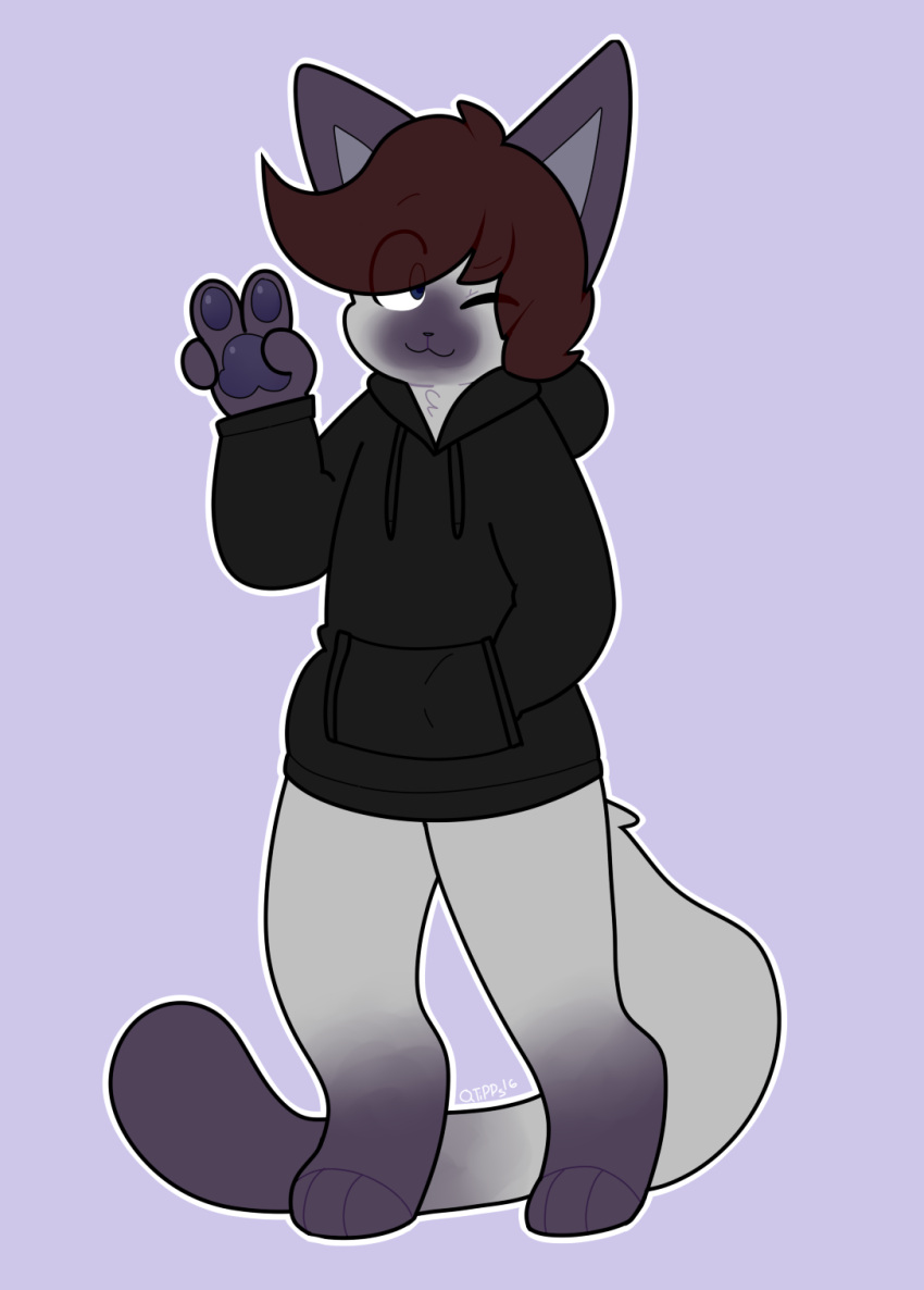 :3 anthro brown_hair clothing domestic_cat ears_up felid feline felis fur gesture grey_body grey_fur hair hi_res hoodie male mammal one_eye_closed pawpads purple_background purple_body purple_fur purple_pawpads qtipps siamese simple_background solo standing topwear v_sign valery_funika wink