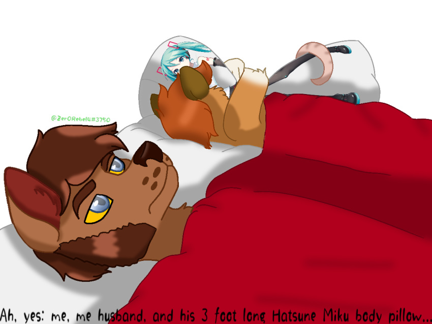 2020 anthro bedding blanket blue_eyes blue_hair body_pillow brown_body brown_fur brown_hair brown_markings canid canine canis dialogue didelphid digital_drawing_(artwork) digital_media_(artwork) duo facial_hair fur hair hatsune_miku hugging_pillow human humor lying male mammal markings marsupial meme orange_body orange_fur orange_hair pillow sideburns thomas_ii_(zer0rebel4) timothy_(zer0rebel4) vocaloid were werecanid werecanine werewolf white_body white_fur white_markings wolf zer0rebel4