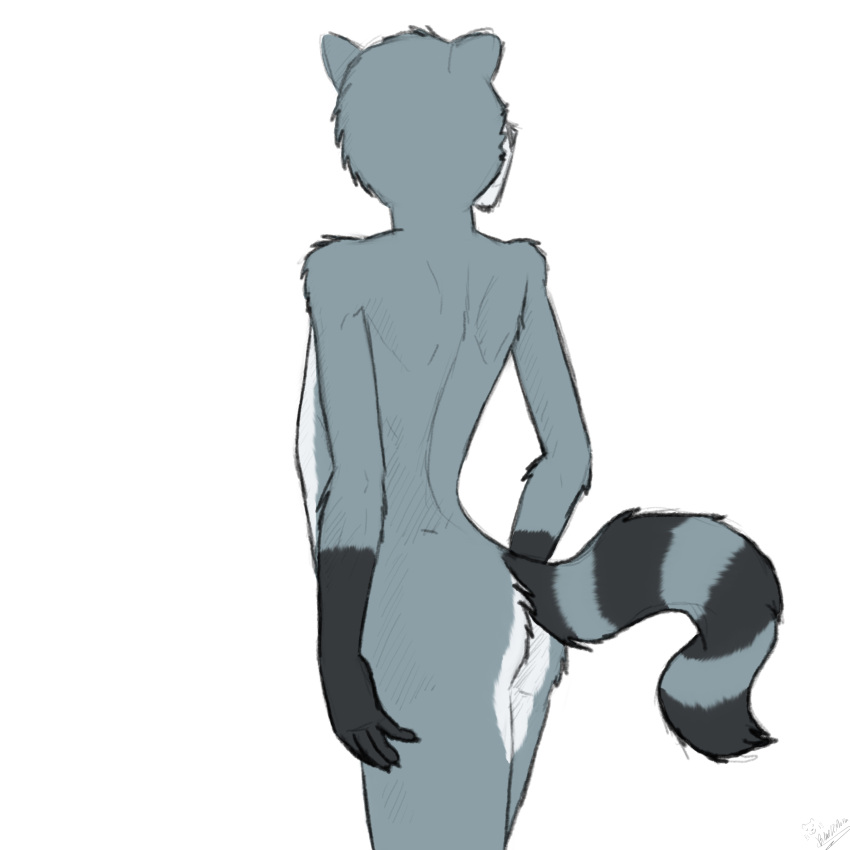 absurd_res anthro bluedmoka butt hi_res male mammal mapache procyonid raccoon solo