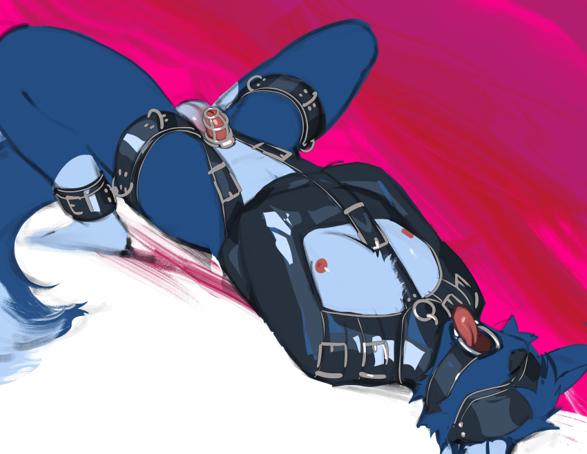 2022 abstract_background absurd_res anthro arms_tied bassenji blindfold blue_body blue_countershading blue_fur blue_inner_ear bound canid canine canis chastity_cage chastity_device countershade_legs countershade_torso countershading digital_media_(artwork) domestic_dog fur gag genitals hi_res leg_markings legs_tied liberty_(bluecoffeedog) light_body light_countershading light_inner_ear lying male mammal markings multicolored_body multicolored_fur nipples on_back penis pink_tongue red_nipples red_penis restraints ring_gag small_penis socks_(marking) solo straitjacket submissive submissive_male teeth tongue tongue_out two_tone_body two_tone_fur