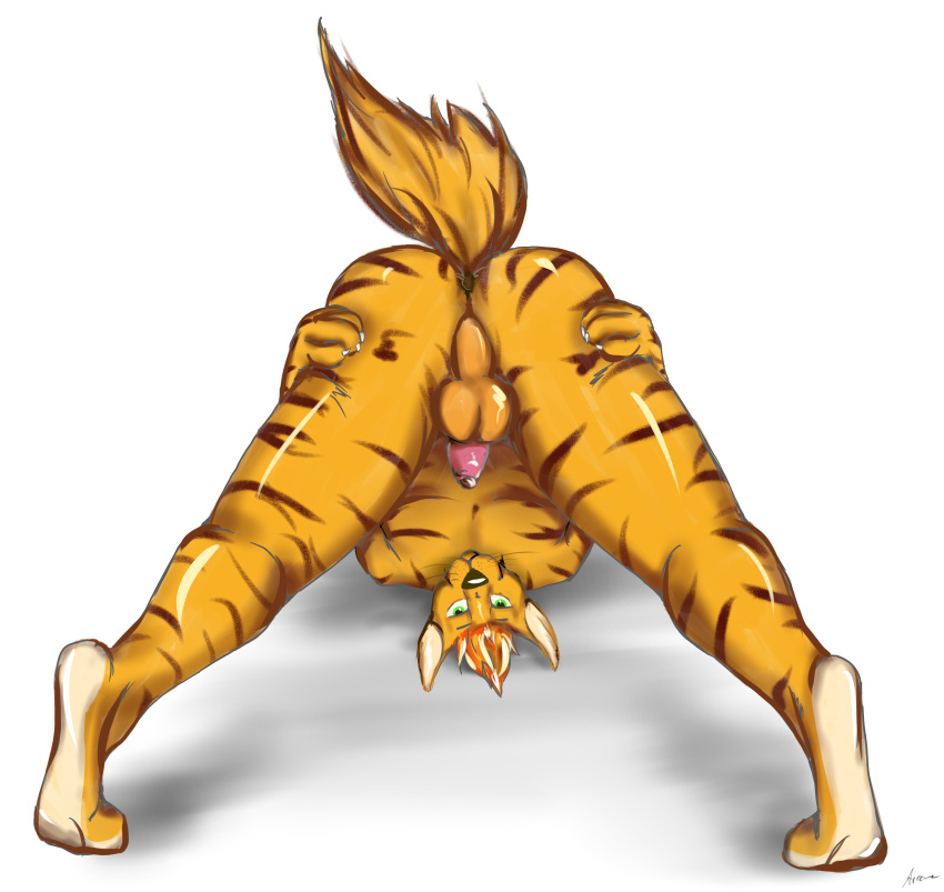 absurd_res arcwolfdragon ass_up balls butt butt_grab claws felid feline flaccid fur genitals green_eyes hand_on_butt handpaw hi_res looking_at_viewer mammal markings orange_body orange_fur pantherine paws penis spread_legs spreading striped_markings stripes tail tiger