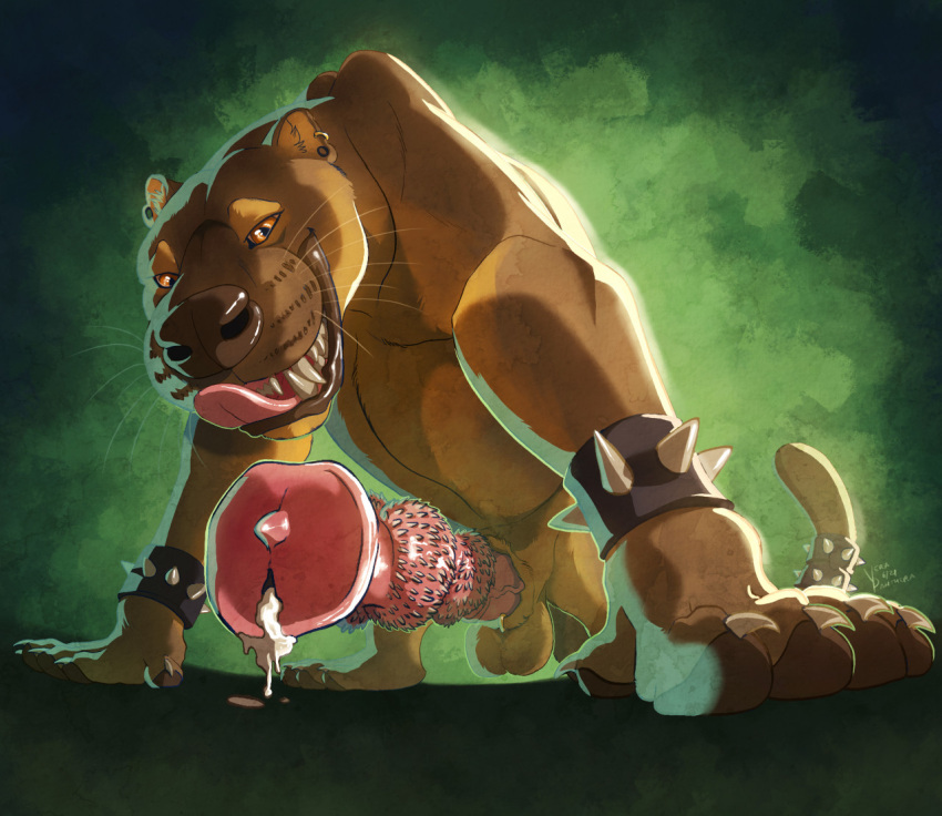 animal_genitalia animal_penis armband balls bodily_fluids brown_body brown_eyes brown_fur brown_nose claws claws_out cum digital_media_(artwork) digital_painting_(artwork) dripping ear_piercing ear_ring euplerid fangs feral flared_penis fossa fossa_penis fur furgonomics furry-specific_piercing genital_fluids genital_piercing genitals green_background knot knot_root leaking_cum licking licking_lips looking_at_viewer low-angle_view male mammal multi_genitalia multi_knot penile_spines penis piercing precum precum_drip precum_on_ground sheath sheath_piercing simple_background smile solo spiked_armband spiked_penis spiked_tailband spikes spikes_(anatomy) tan_body tan_fur teeth tongue tongue_out vera-panthera