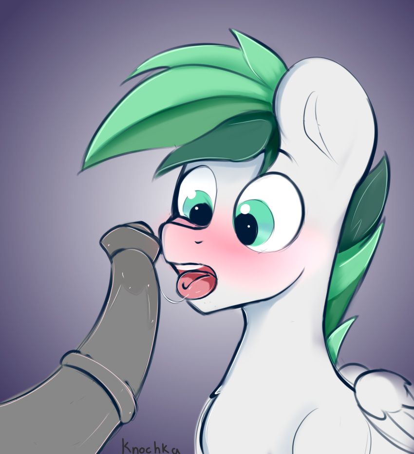 absurd_res ambiguous_gender animal_genitalia animal_penis blush bodily_fluids dreamer_skies_(oc) equid equine equine_penis fan_character feral genitals green_eyes green_hair hair hasbro hi_res knochka male_(lore) mammal medial_ring multicolored_hair my_little_pony pegasus penis saliva saliva_on_penis saliva_string teeth_showing tongue tongue_out two_tone_hair white_body white_wings wings