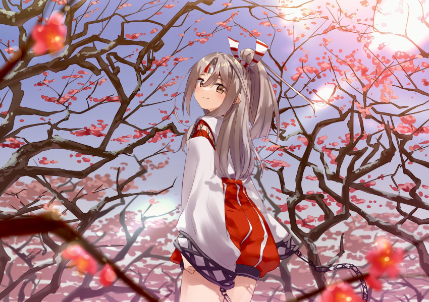 1girl blooming blue_sky cloud cowboy_shot day from_behind from_below hachimaki hakama hakama_shorts headband high_ponytail highres japanese_clothes kantai_collection light_brown_hair long_hair looking_at_viewer natsuki_(gedo) outdoors ponytail red_shorts shorts sky solo striped_headband tree wide_sleeves zuihou_(kancolle)