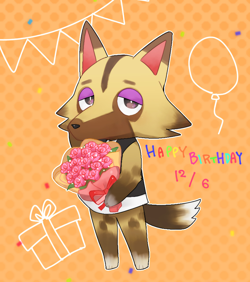 1boy animal_crossing animal_ears animal_feet animal_nose balloon black_shirt body_fur bottomless bouquet box bright_pupils brown_fur commentary_request dated flower full_body furry furry_male gift gift_box half-closed_eyes hand_on_own_cheek hand_on_own_face hand_up happy_birthday highres holding holding_bouquet kureson_(hayama_baa) kyle_(animal_crossing) looking_at_viewer male_focus orange_background outline polka_dot polka_dot_background purple_eyes red_flower red_rose rose shirt sleeveless sleeveless_shirt snout solo standing string_of_flags tail white_fur white_outline white_pupils wolf_boy wolf_ears wolf_tail yellow_fur