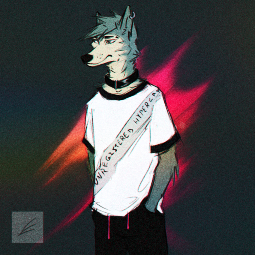 anthro beastars bonelesswolf canid canine canis clothing collar ear_piercing ear_ring hand_in_pocket inner_ear_fluff legoshi_(beastars) male mammal piercing pockets shirt simple_background solo sweatpants t-shirt topwear tuft wolf