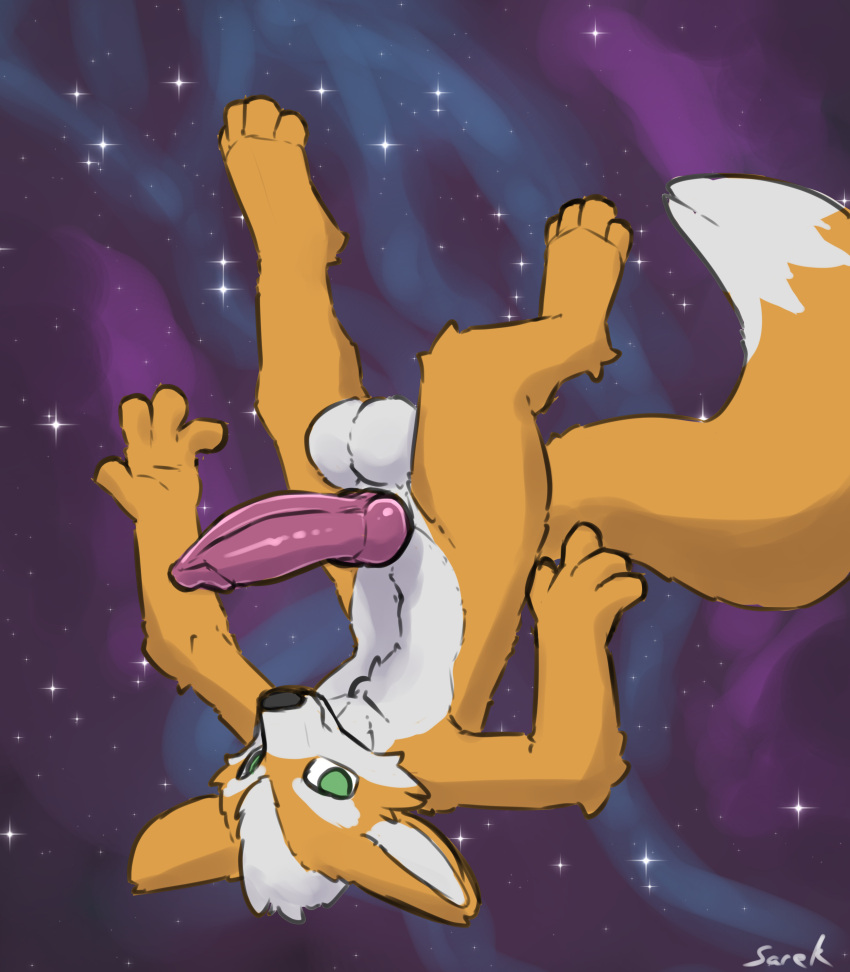 absurd_res balls canid canine fox fox_mccloud genitals hi_res knot mammal nintendo penis sarek_aran_desian star_fox zero_gravity