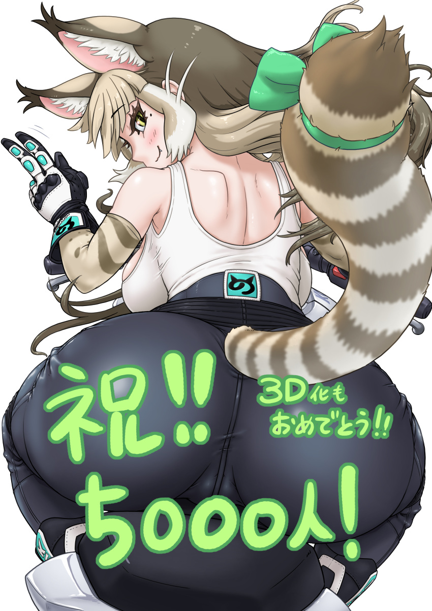 00mainos absurdres animal_ears back breasts cat_ears cat_girl cat_tail elbow_gloves extra_ears gloves green_eyes grey_hair highres japari_symbol jungle_cat_(kemono_friends) kemono_friends kemono_friends_v_project large_breasts long_hair looking_at_viewer motor_vehicle motorcycle pants ribbon tail tank_top translation_request virtual_youtuber