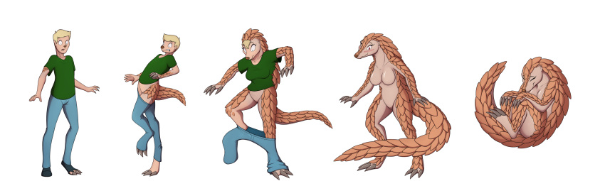 2024 absurd_res anthro blonde_hair bottomwear breast_growth breasts brown_body brown_scales clothing digital_media_(artwork) featureless_breasts featureless_crotch female gender_transformation green_clothing green_shirt green_topwear growth hair hi_res human human_to_anthro looking_down male mammal mtf_transformation nude on_one_leg pangolin pants scales sequence shirt simple_background smile solo species_transformation standing tail tail_growth tomek1000 topwear transformation white_background