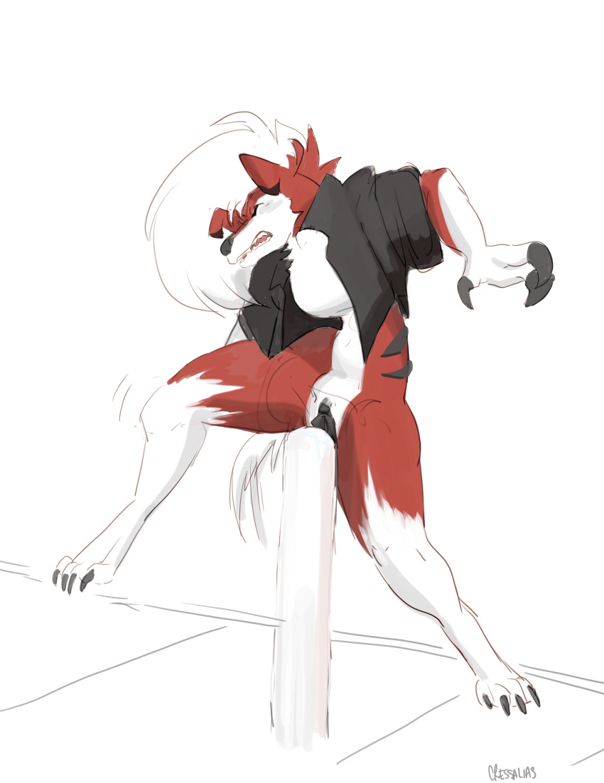 absurd_res cressalias generation_7_pokemon genitals hi_res lycanroc male nintendo pain pokemon pokemon_(species) pokemorph pussy