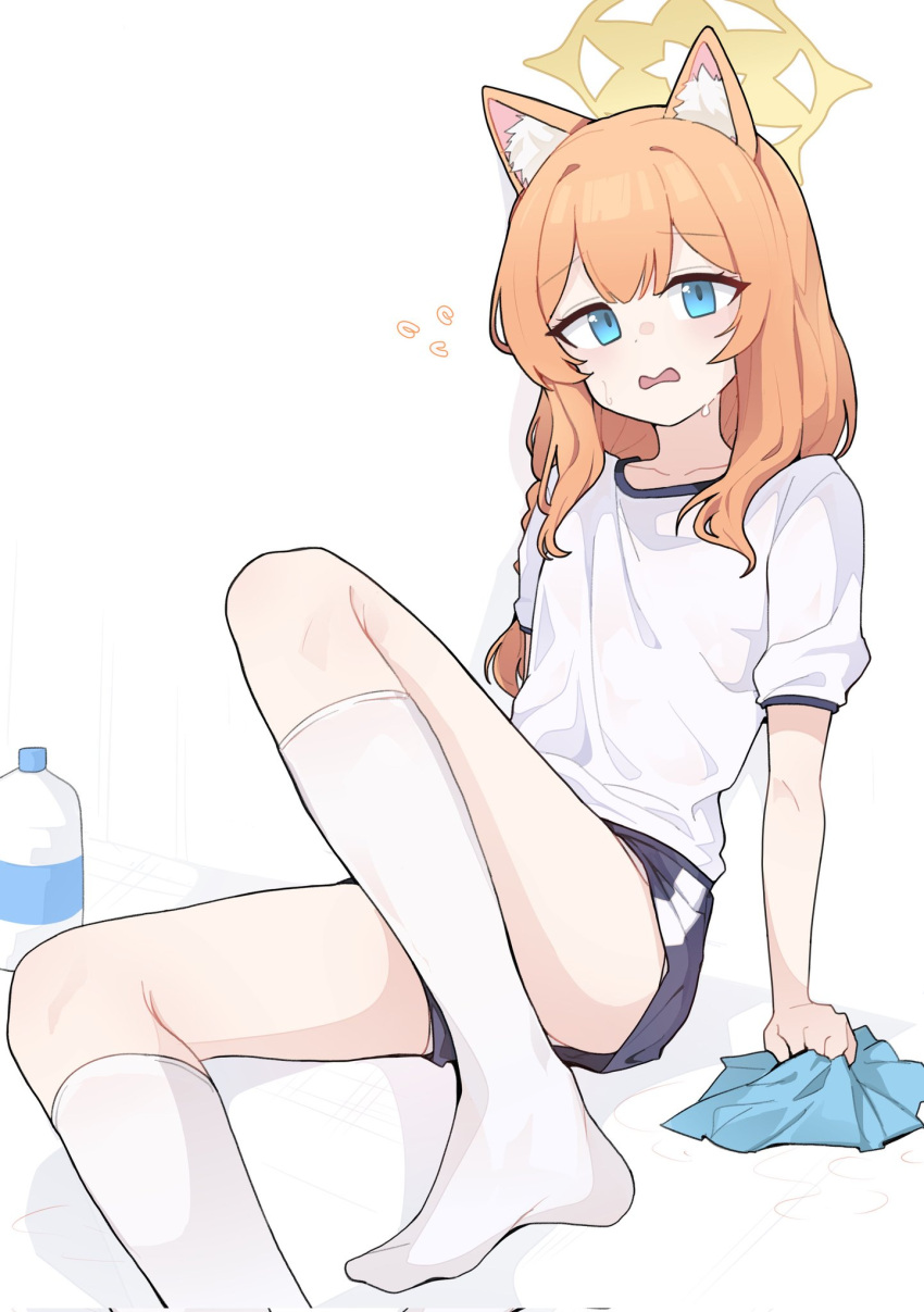 1girl animal_ear_fluff animal_ears black_shorts blue_archive blue_eyes blush flying_sweatdrops gym_shirt gym_shorts gym_uniform halo highres long_hair looking_at_viewer mari_(blue_archive) mari_(track)_(blue_archive) official_alternate_costume open_mouth orange_hair pearlgang_e shirt short_sleeves shorts simple_background socks solo white_background white_shirt white_socks yellow_halo