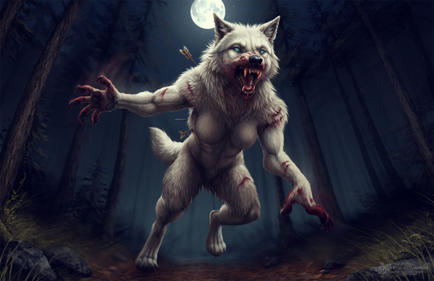 angry anthro arrows blood blood_on_face blood_on_hand blood_on_mouth blood_on_teeth bodily_fluids breasts canid canine canis cedarwolf claws ears_up featureless_breasts featureless_crotch female fog full_moon hi_res hungry hunting light mammal moon moonlight night night_time nude_female outside plant rock sharp_claws sharp_teeth shrub snarling solo teeth tongue tree treetrunk were werecanid werecanine werewolf wolf wounded