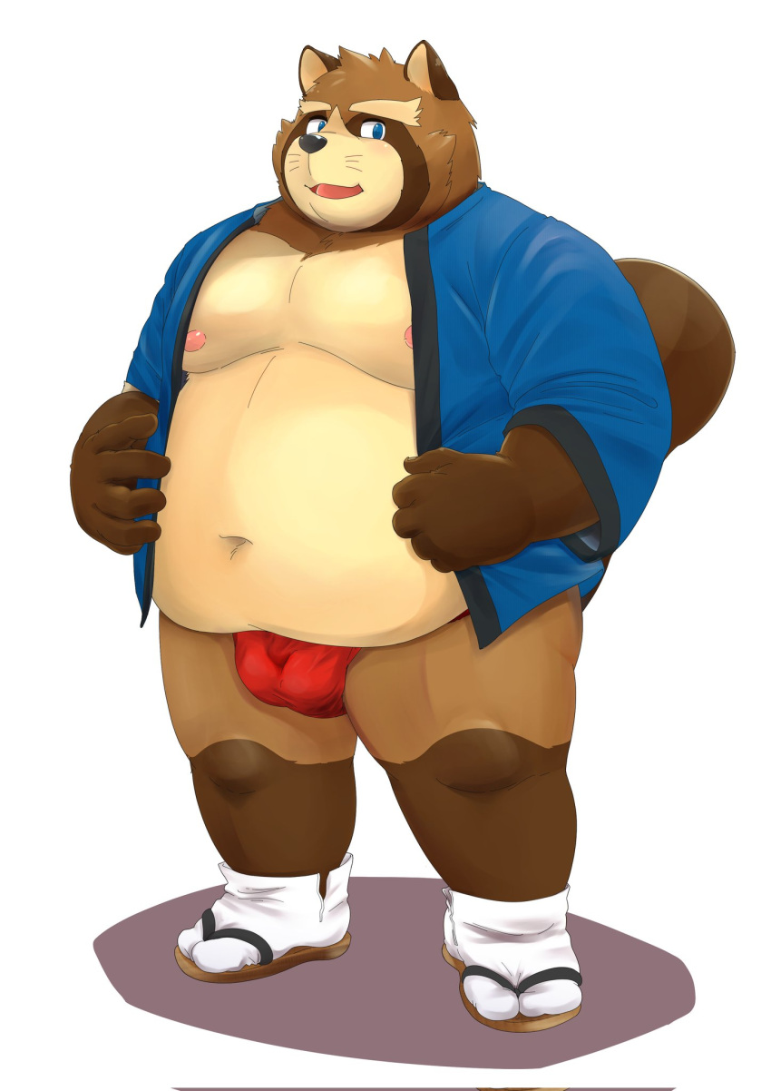 2022 anthro asian_clothing belly blue_eyes brown_body brown_fur bulge canid canine clothing east_asian_clothing footwear fundoshi fur hamagiato hi_res humanoid_hands japanese_clothing kemono male mammal moobs navel nipples overweight overweight_male raccoon_dog red_clothing red_fundoshi red_underwear sandals simple_background solo tanuki underwear