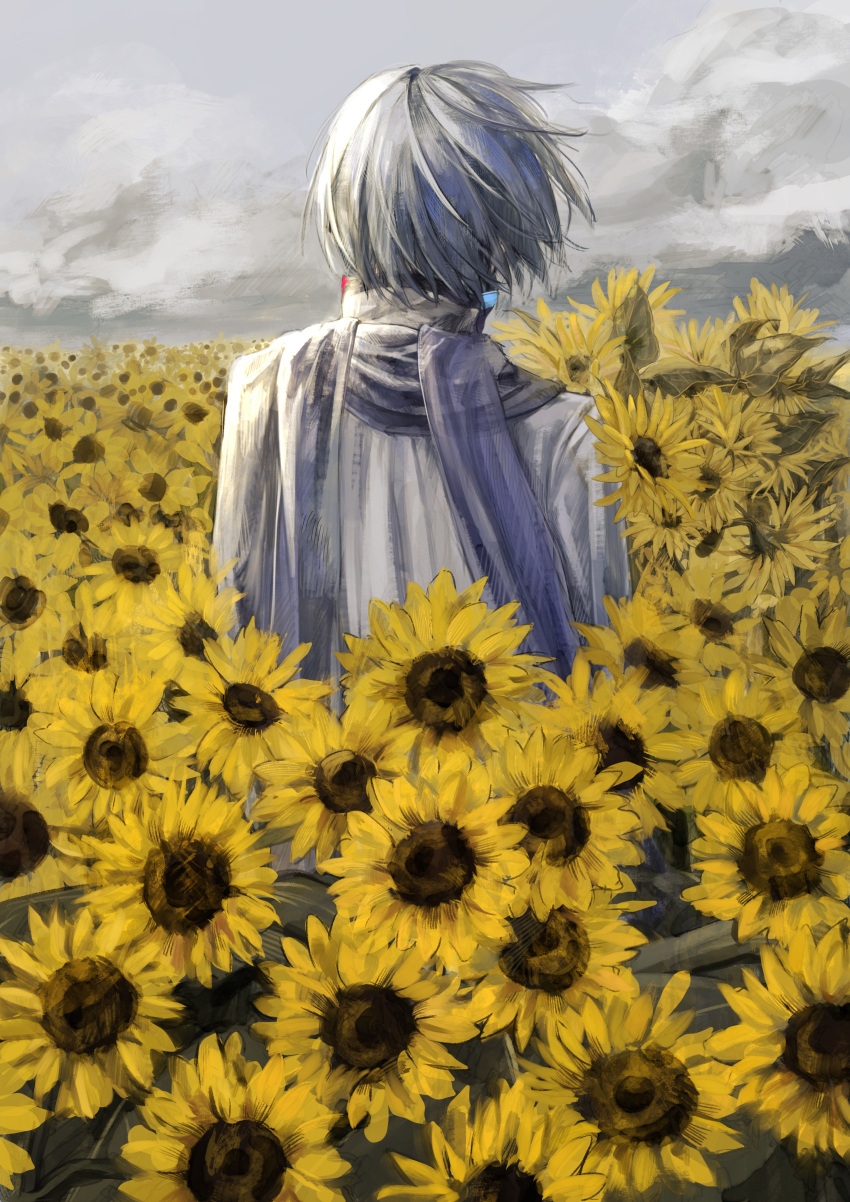 1boy absurdres blue_hair blue_scarf cloud cloudy_sky coat commentary field floating_hair flower flower_field from_behind high_collar highres ill_0619 kaito_(vocaloid) male_focus scarf short_hair sky solo standing sunflower sunflower_field symbol-only_commentary vocaloid white_coat