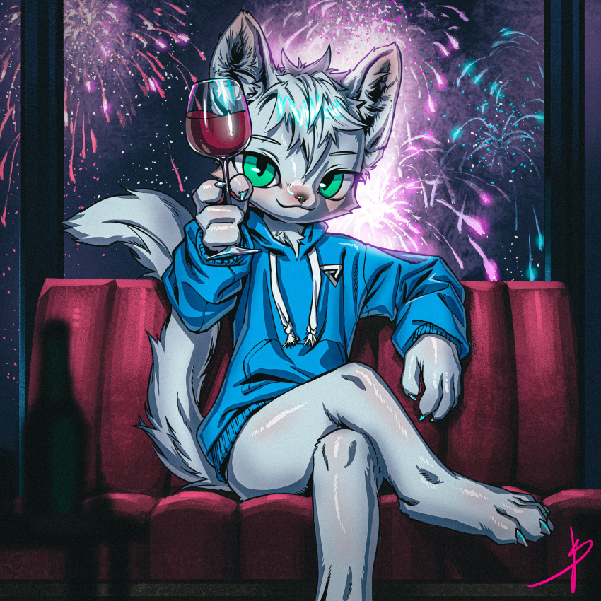 2022 absurd_res alcohol anthro beverage blaedic blue_clothing blue_hoodie blue_topwear blush bottle bottomless canid canine canis celebration claws clothed clothing container crossed_legs detailed_background digitigrade fireworks foreground_silhouette front_view green_eyes grey_hair hair hi_res holding_wine_glass hoodie inner_ear_fluff inside looking_at_viewer male male_anthro mammal night portrait pupils short_hair sitting slit_pupils smile solo toasting topwear tuft window wine wolf yumeme_(ishiharaymm)