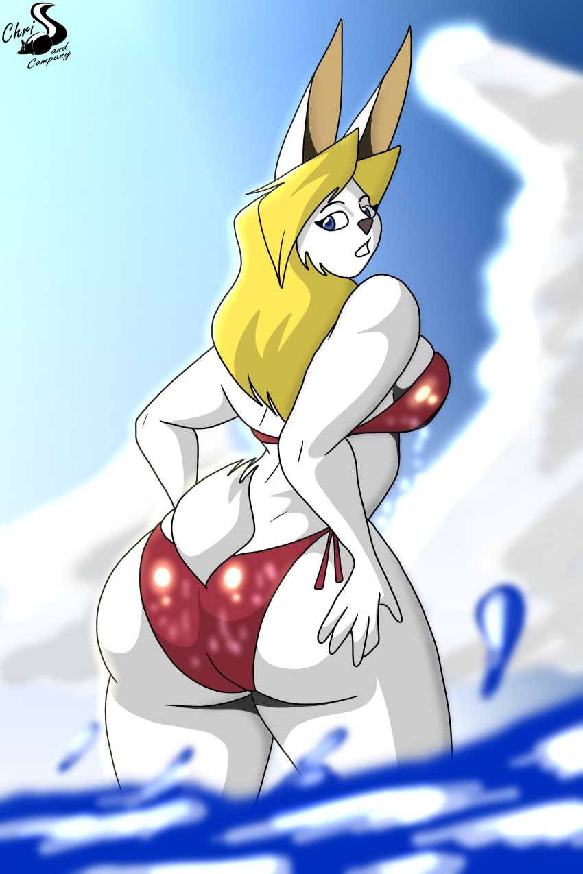 absurd_res anthro bikini butt chrisandcompany clothing female hair hi_res lagomorph leporid mammal rabbit solo swimwear