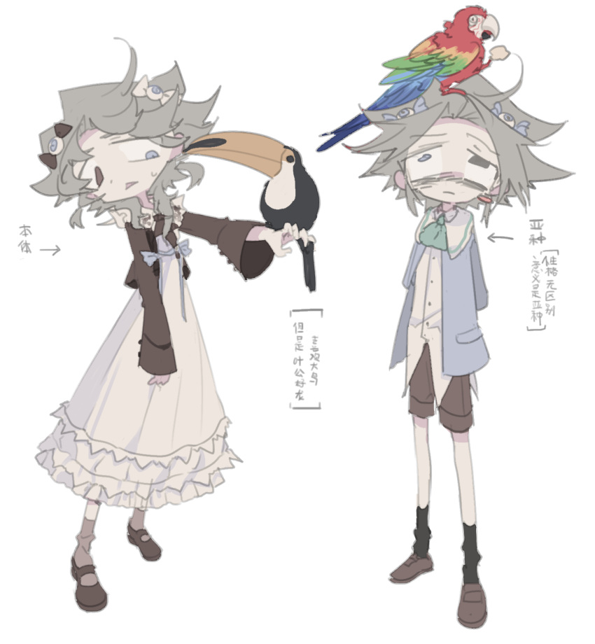 1other animal bird black_socks blue_jacket brown_footwear brown_shorts chinese_text dress frilled_dress frills grey_hair heterochromia highres jacket looking_at_another meyou_0319 original parrot shorts socks toucan white_background