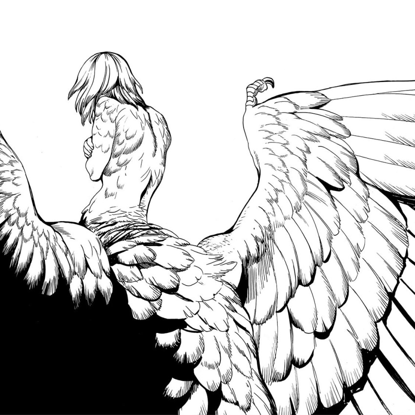 1girl artist_request back body_fur chimera dungeon_meshi falin_touden falin_touden_(chimera) feathered_wings feathers greyscale kui_ryouko monochrome monster_girl nude self_hug short_hair solo white_background wings