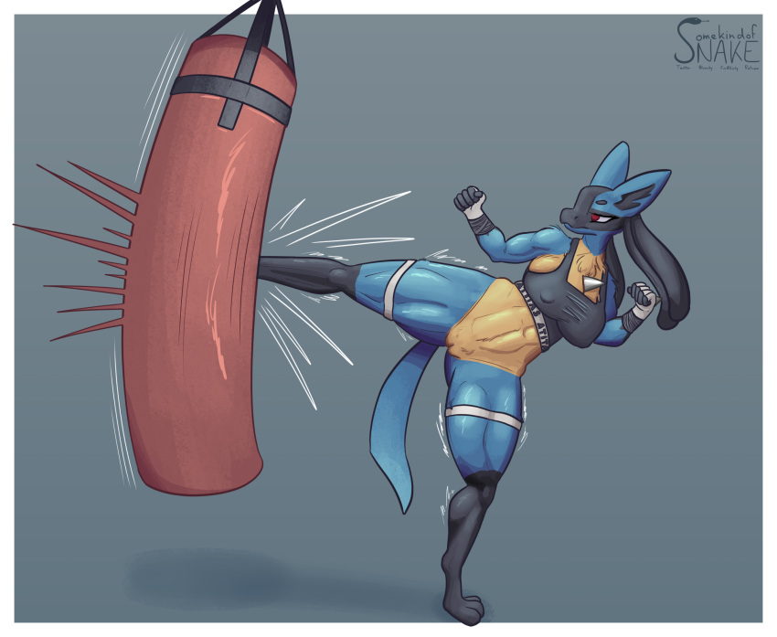 5_fingers abs action_pose anthro battle biceps big_breasts black_body black_fur blue_body blue_fur bra breasts clothing female fingers focused fur generation_4_pokemon genitals half_naked hi_res kick lucario muscular nintendo pokemon pokemon_(species) pose punching_bag pussy signature simple_background solo somekindofsnake sports_bra tail thick_thighs underwear yellow_body yellow_fur