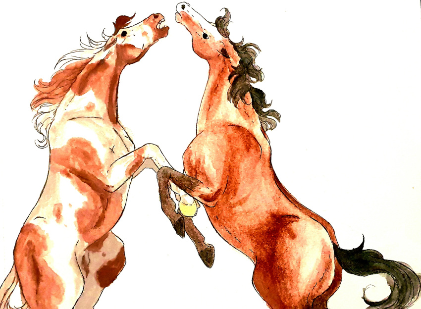ambiguous_gender brown_body brown_fur check_mark duo equid equine feral fur hi_res horse male male/male mammal mireina painting_(artwork) spots spotted_body spotted_fur traditional_media_(artwork) watercolor_(artwork)