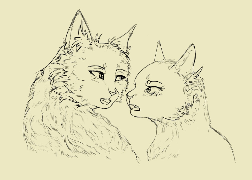 bluestar_(warriors) digital_media_(artwork) domestic_cat duo eye_contact fangs felid feline felis female feral fur hysteriana looking_at_another male male/female mammal oakheart_(warriors) open_mouth simple_background sketch teeth warriors_(book_series) wild_cat