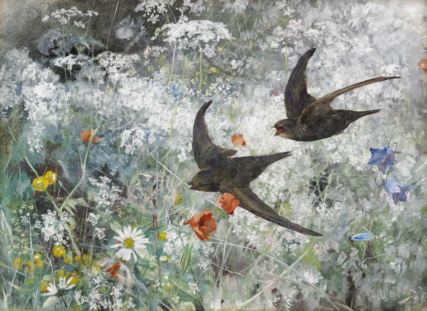 1886 19th_century ambiguous_gender ancient_art beak bruno_liljefors common_swift detailed_background duo feathered_wings feathers feral flower flying hi_res nude oil_painting_(artwork) open_beak open_mouth outside painting_(artwork) plant public_domain signature tail_feathers traditional_media_(artwork) wings