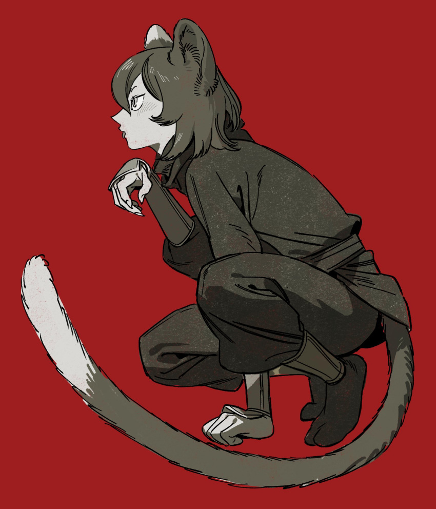 1girl aguan animal_ears cat_ears cat_girl cat_tail dungeon_meshi from_side full_body greyscale greyscale_with_colored_background highres izutsumi monochrome pants profile red_background short_hair simple_background socks solo squatting tail tongue tongue_out