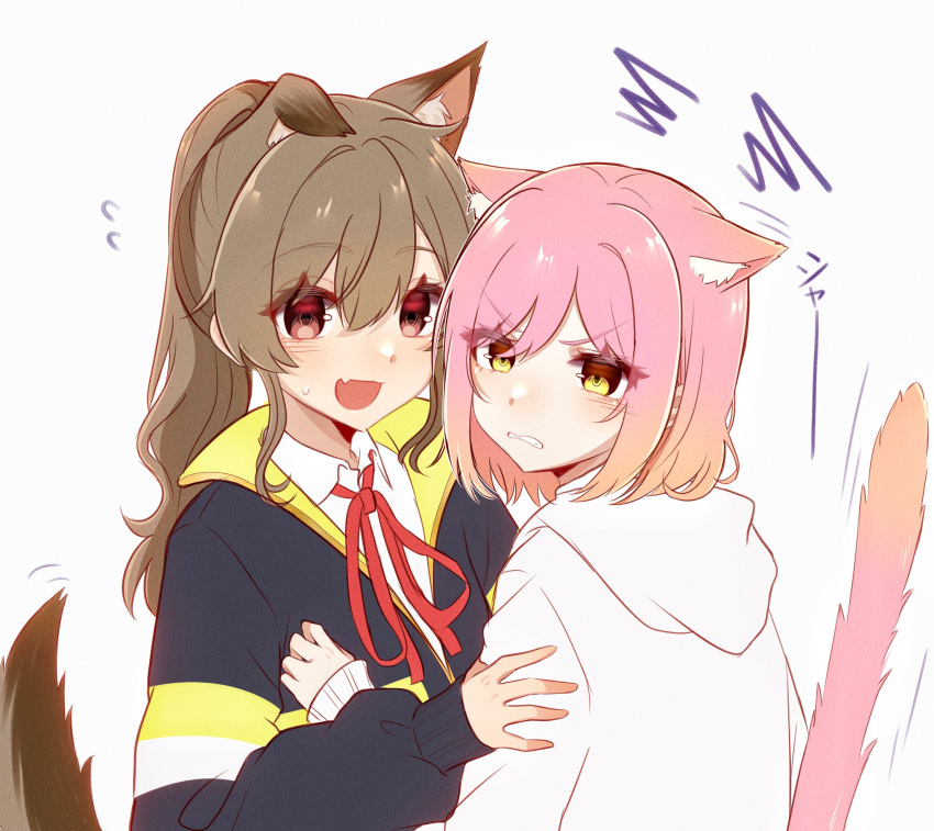 2girls :d absurdres alternate_hairstyle animal_ear_fluff animal_ears annoyed black_jacket blush brown_hair cat_ears cat_girl cat_tail clenched_teeth collared_shirt commentary_request d4dj dog_ears dog_girl dog_tail fang flying_sweatdrops gradient_hair hair_between_eyes hand_on_another's_arm hand_on_another's_chest high_ponytail highres hood hood_down hoodie inuyose_shinobu jacket kemonomimi_mode long_hair long_sleeves looking_at_another looking_at_viewer looking_to_the_side motion_lines multicolored_hair multiple_girls neck_ribbon nervous orange_hair parted_lips pink_hair ponytail red_eyes red_ribbon ribbon royyy999 school_uniform shirt short_hair sidelocks simple_background skin_fang sleeves_past_wrists smile squiggle sweatdrop tail tail_raised teeth translated two-tone_hair upper_body v-shaped_eyebrows white_background white_hoodie white_shirt yamate_kyouko yellow_eyes