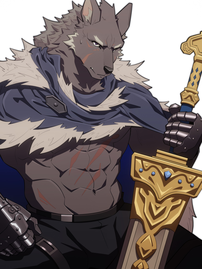 abs absurd_res anthro armor blaidd_(elden_ring) bottomwear canid canine canis cape clothing elden_ring fur greatsword grey_body grey_fur hi_res looking_at_viewer male mammal melee_weapon midriff muscular muscular_anthro muscular_male pants ring scar simple_background solo sword uiokv weapon white_background wolf