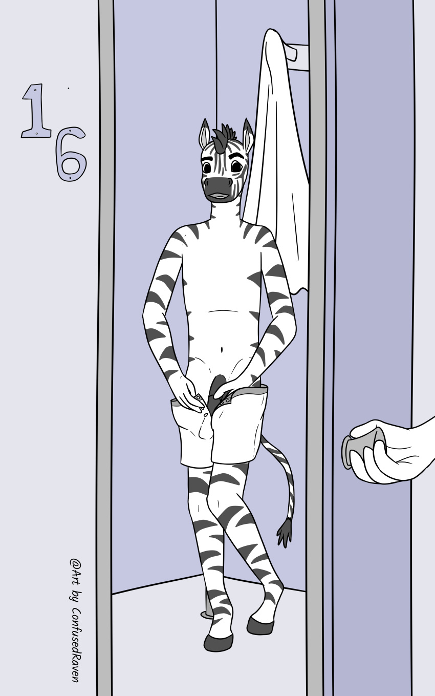 absurd_res anthro black_and_white caught confusedraven disturbed dressing equid equine genitals half-erect hi_res locker_room male mammal monochrome penis solo zebra