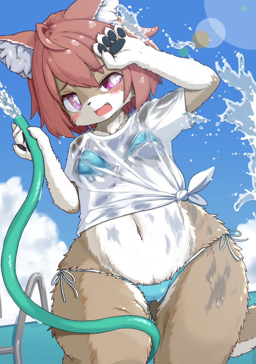 2022 5_fingers absurd_res ahoge anthro between_legs bikini blush breasts brown_body brown_fur brown_hair camel_toe canid canine canis claws clothed clothing cloud cute_fangs day female finger_claws fingers fluffy fur garden_hose gloves_(marking) hair hi_res holding_object hose inner_ear_fluff kemono koorinezumi ladder lens_flare low-angle_view mammal markings multicolored_body multicolored_fur navel nipple_outline open_mouth outside pawpads pink_eyes portrait shirt short_hair side-tie_bikini sky solo swimming_pool swimwear t-shirt tan_body tan_fur three-quarter_portrait tongue topwear translated_description translucent translucent_clothing tuft two_tone_body two_tone_fur water wet wet_body wet_clothing wet_fur wet_hair wet_shirt wet_topwear white_body white_fur wide_hips wolf