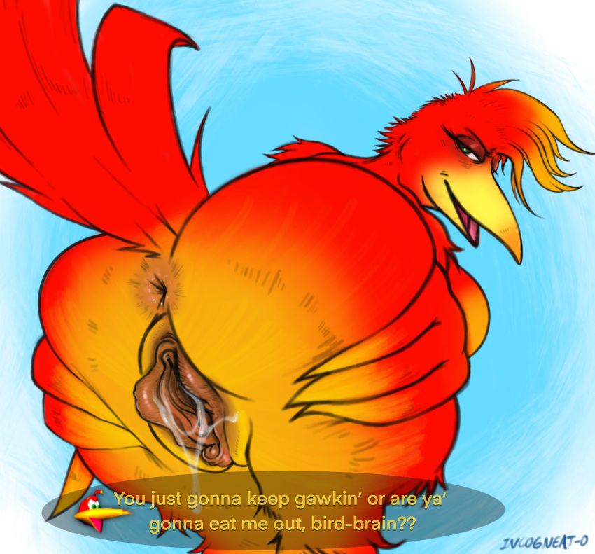 2022 anus avian banjo-kazooie bird bodily_fluids butt dialogue english_text feathers female genital_fluids genitals half-closed_eyes hi_res incogneat-o kazooie looking_at_viewer looking_back looking_back_at_viewer narrowed_eyes presenting presenting_hindquarters pussy pussy_juice rareware solo talking_to_viewer text video_games