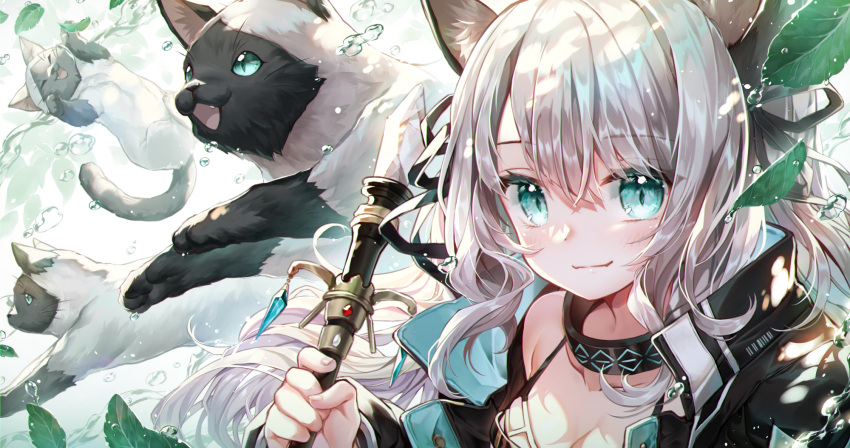 1girl ahoge animal animal_ears arknights black_choker black_coat black_ribbon cat cat_ears cat_girl cat_tail choker closed_mouth coat dew_drop dress grey_dress hair_ribbon highres holding infection_monitor_(arknights) leaf light_blush long_hair long_sleeves looking_at_viewer mint_(arknights) ninjinshiru open_clothes open_coat ribbon silver_hair smile solo tail water water_drop white_background