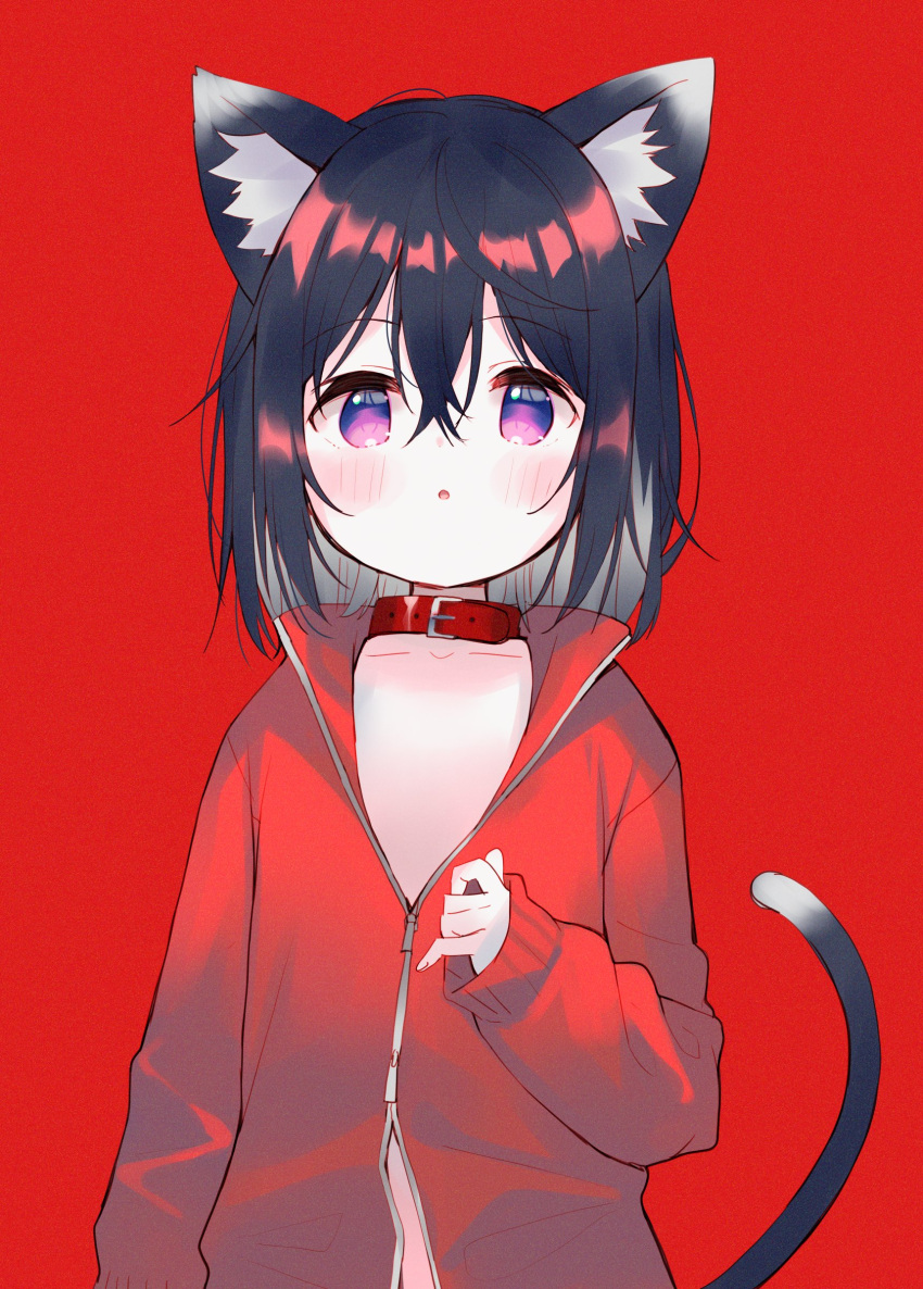 1girl :o absurdres animal_ears bangs black_hair blush cat_ears cat_girl cat_tail collar collarbone commentary eyebrows_visible_through_hair grey_hair hair_between_eyes hand_up highres jacket long_sleeves looking_at_viewer meito_(maze) multicolored_hair original parted_lips puffy_long_sleeves puffy_sleeves purple_eyes red_background red_collar red_jacket simple_background sleeves_past_wrists solo streaked_hair symbol-only_commentary tail track_jacket upper_body