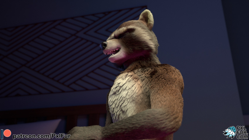 16:9 2022 3d_(artwork) anthro anthro_on_anthro big_dom_small_sub biped conditional_dnp detailed_background digital_media_(artwork) dominant duo erection fur genitals hi_res larger_male lutrine male male/male mammal mustelid nude open_mouth oral penile penis procyonid pxlfur raccoon size_difference size_play smaller_male watermark widescreen