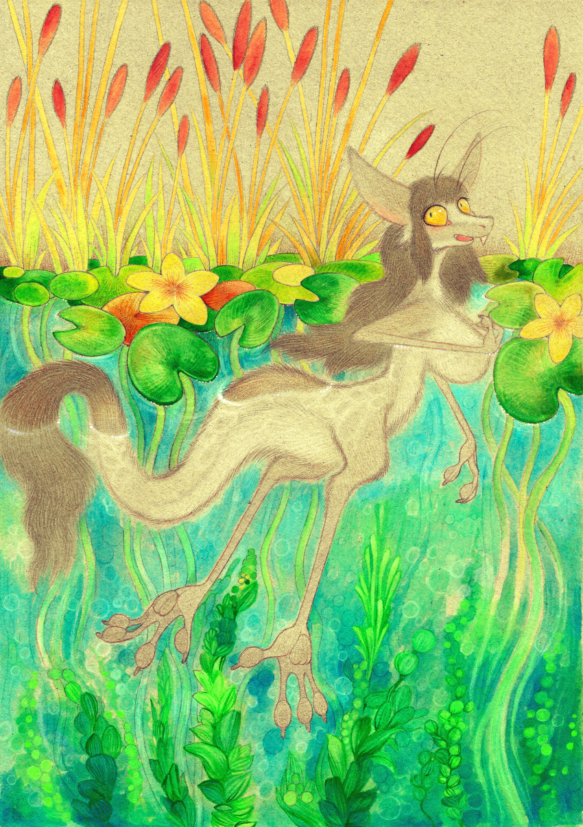 absurd_res anthro big_breasts breasts cattail_(plant) covering covering_breasts detailed_background female fuchs hair hi_res kassen_akoll lily_pad long_hair looking_at_viewer mammal nude open_mouth out-of-placers painting_(artwork) partially_submerged plant solo swimming traditional_media_(artwork) water watercolor_(artwork) webcomic yinglet