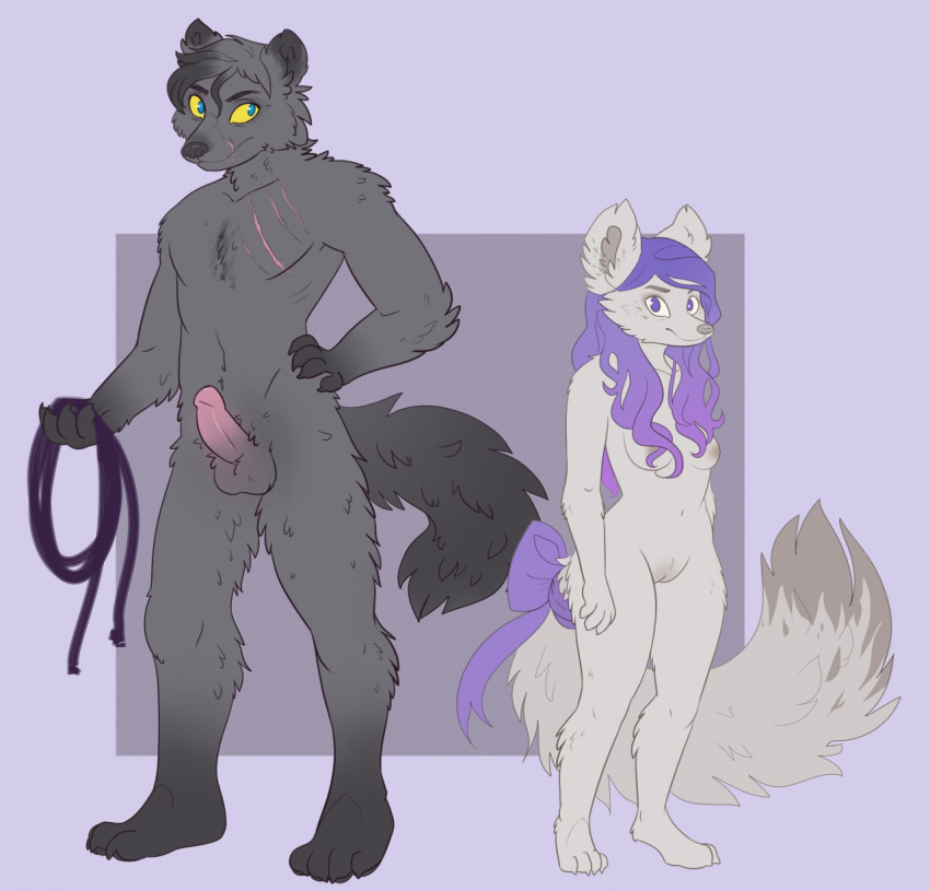 anthro bdsm bondage bound canid canine canis dominant fluffy fluffy_tail fox furry hi_res mammal model_sheet rope scar shibeari submissive wolf