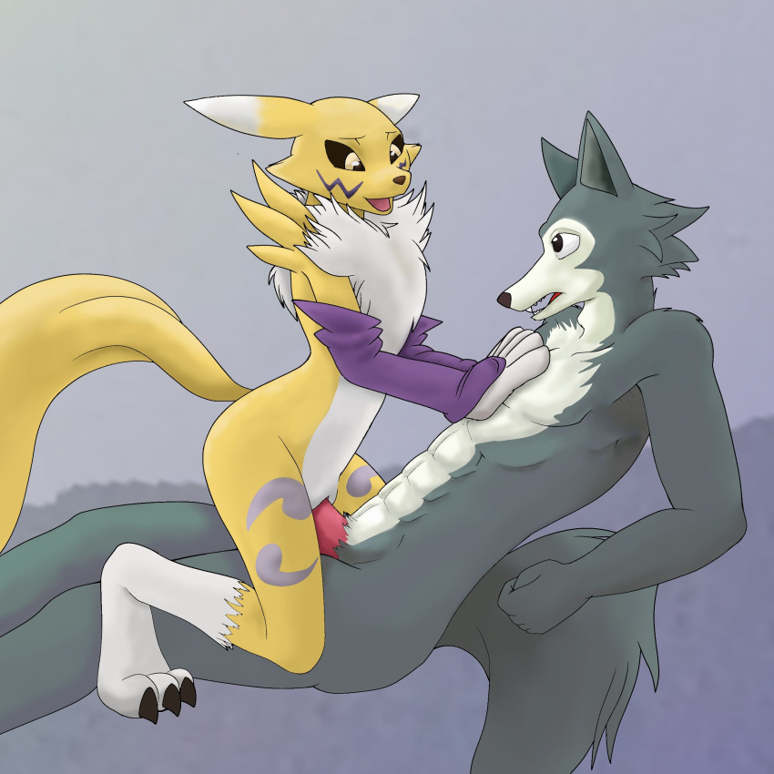 adla1 anthro bandai_namco beastars canid canine canis digimon digimon_(species) duo female fox hi_res legoshi_(beastars) male male/female mammal renamon sex wolf