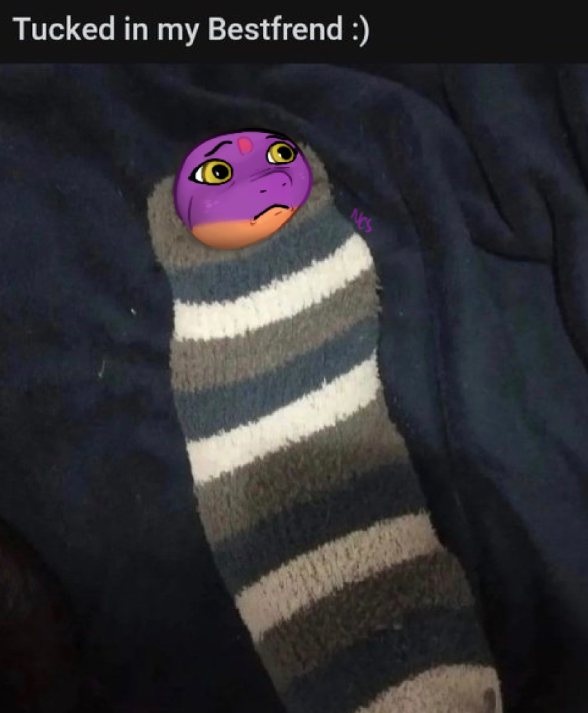 2022 bed bedding bedding_background clothing cobra draw_over english_text eyebrows female feral footwear frown furniture hi_res humor keeshee lying meme ncs on_back on_bed real reptile scalie snake snake_hood socks solo text