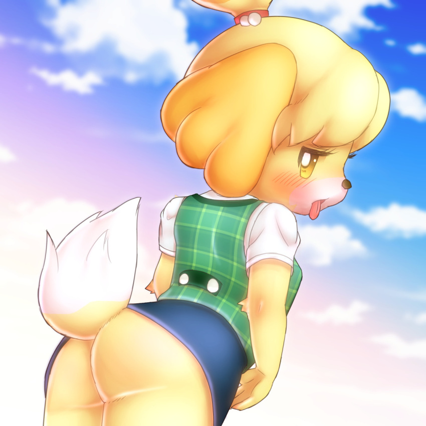 animal_crossing anthro bedroom_eyes blush bottomwear bunnag butt canid canine canis clothed clothing cloud domestic_dog female fur hi_res isabelle_(animal_crossing) looking_back low-angle_view mammal narrowed_eyes nintendo no_underwear seductive shih_tzu skirt sky sky_background solo tongue tongue_out toy_dog upskirt video_games white_body white_fur yellow_body yellow_eyes yellow_fur