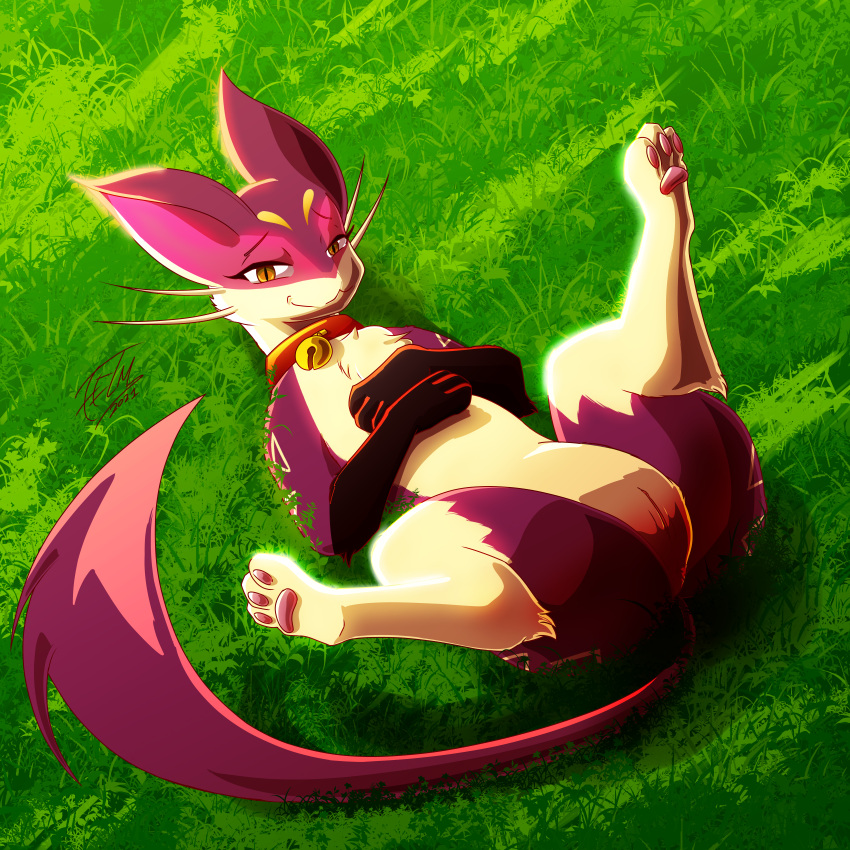 3_toes absurd_res bell bell_collar clothing collar eyebrows feet female feral fur genitals gloves grass handwear hi_res liepard looking_at_viewer lying nintendo on_back pawpads plant pok&eacute;mon pok&eacute;mon_(species) presenting purple_body pussy raised_eyebrows red_felyne shiny_pok&eacute;mon simple_background smile smiling_at_viewer solo spread_legs spreading thelightsmen toes video_games yellow_eyes