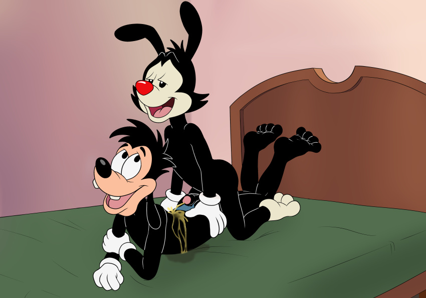 absurd_res animaniacs anthro bed bedroom black_body black_fur bodily_fluids butt canid canine canis clothed clothing crack_ship crossover digital_media_(artwork) disney domestic_dog duo erection foreskin fur furniture genital_fluids genitals glans gloves goof_troop handwear hi_res hot_dogging humanoid_genitalia humanoid_penis inkblot lying magzol male male/male mammal max_goof nude on_bed open_mouth partially_retracted_foreskin peeing peeing_on_another penis sex speedo swimwear tongue topless urine warner_brothers watersports yakko_warner