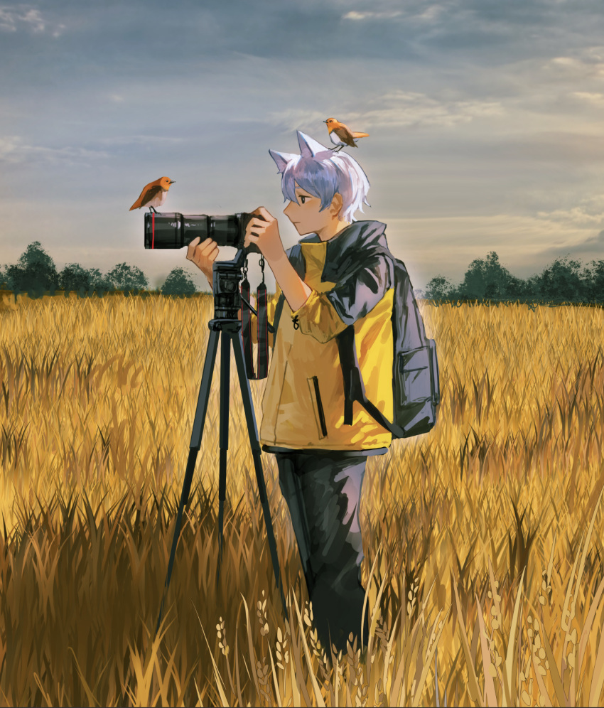 1boy animal animal_ears animal_on_head backpack bag bird bird_on_head bird_request bishounen camera cat_ears cloud cloudy_sky coat grass highres ishida_(segu_ishida) male_focus on_head original outdoors photographer scenery sky solo standing tree tripod white_hair yellow_coat