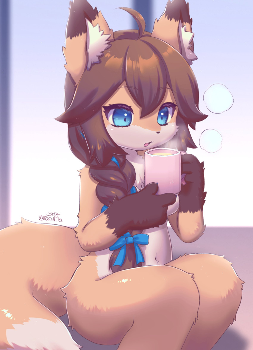 2022 4_fingers accessory ahoge anthro beverage blue_eyes braided_hair breasts brown_body brown_fur brown_hair canid canine chest_tuft claws container convenient_censorship cup dipstick_tail female finger_claws fingers fluffy fox fur gloves_(marking) hair hair_accessory hair_bow hair_ribbon hi_res holding_beverage holding_cup holding_object inner_ear_fluff kemono long_hair mammal markings multicolored_body multicolored_fur multicolored_tail navel nude open_mouth racal_ra ribbons signature sitting solo steam tail_markings tan_body tan_fur tongue tuft white_body white_fur