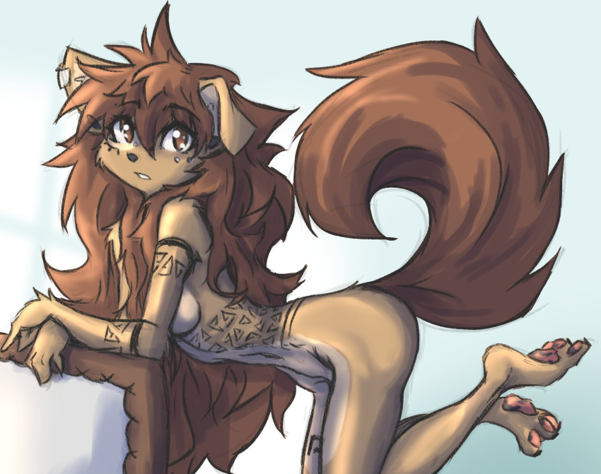 all_fours anthro apogee_(tinygaypirate) arm_support arm_tuft black_nose black_pawpads blue_background breasts brown_body brown_eyes brown_fur brown_hair butt canid canine canis cheek_tuft cowlick curled_tail domestic_dog ear_piercing facial_markings facial_piercing facial_tuft female floppy_ears fur furgonomics furry-specific_piercing gauged_ear hair head_markings hi_res inner_ear_fluff legs_up long_hair looking_aside mammal markings messy_hair muzzle_piercing nose_piercing nude pawpads piercing pink_pawpads plantigrade side_boob simple_background slim solo spitz tinygaypirate tuft wrist_tuft