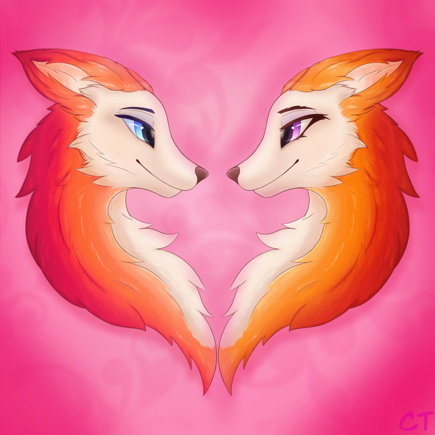 blue_eyes canid canine duo ears_back female feral fox fur hi_res holidays male male/female mammal orange_body orange_fur pink_background pink_eyes pivoted_ears romantic romantic_couple simple_background smile valentine's_day white_body white_fur