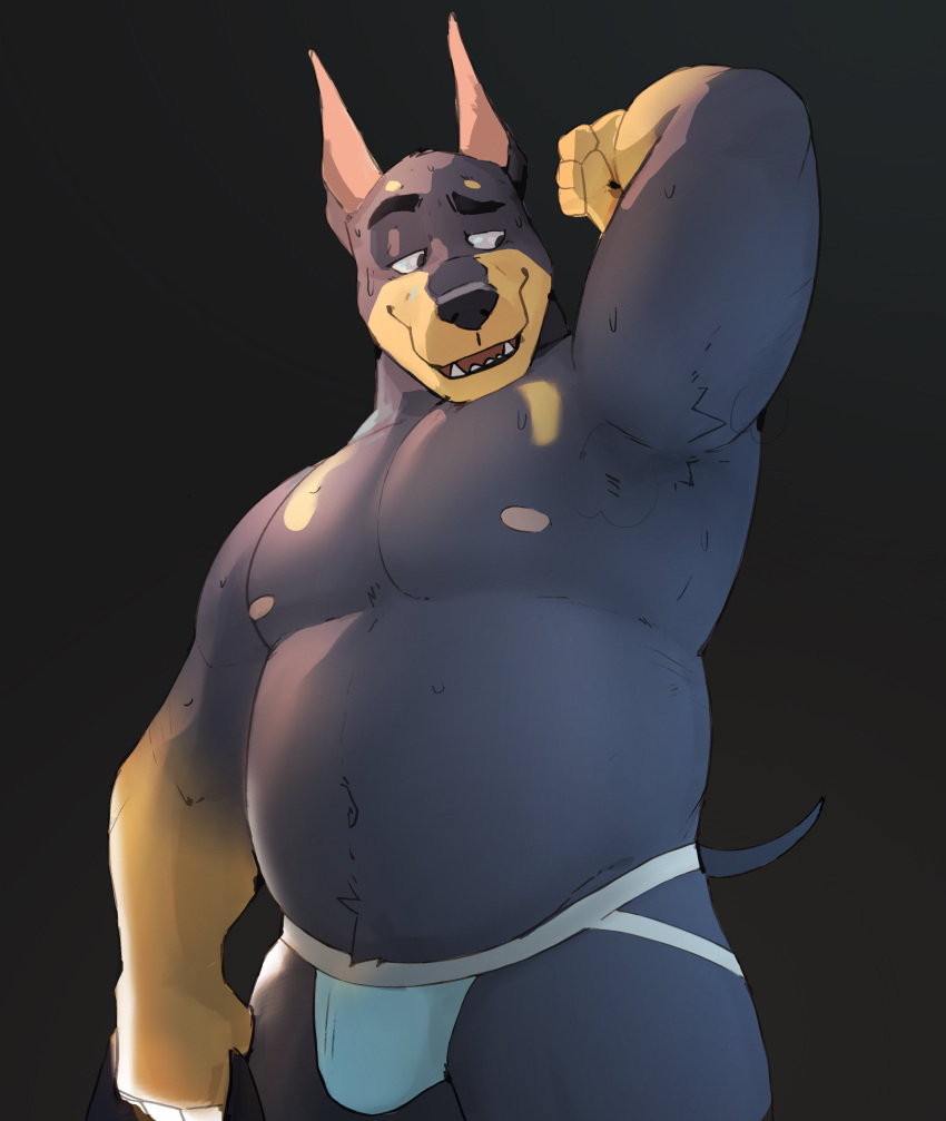 absurd_res armpit_hair body_hair bulge canid canine canis clothing dobermann doberoo domestic_dog gloves_(marking) grin hi_res jockstrap looking_aside male mammal markings mostly_nude musclegut nipples open_mouth overweight overweight_male pinscher smile solo underwear