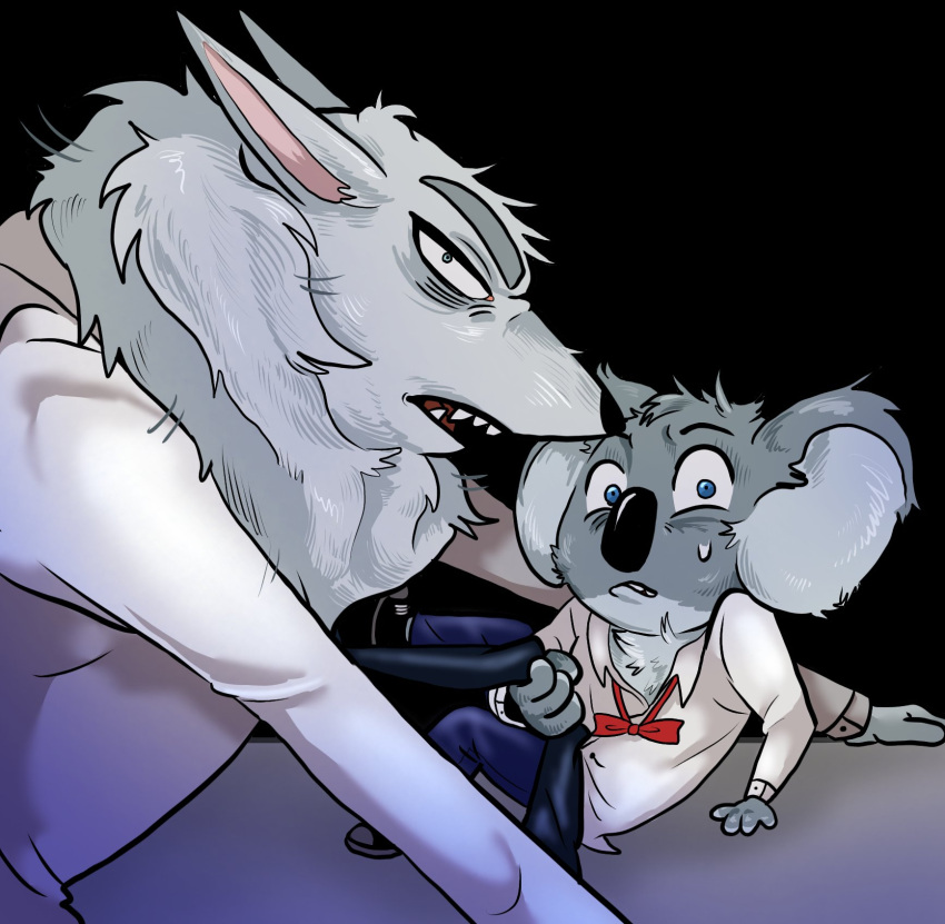 anthro arctic_wolf being_watched bow_tie buster_moon canid canine canis caught clothed clothing clothing_pull duo eyebrows fully_clothed hi_res illumination_entertainment jimmy_crystal jingming1101 koala looking_at_another male male/male mammal marsupial necktie necktie_pull sing_(movie) vombatiform wolf